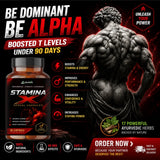 Parnik Naturals Stamina x 500Mg Capsules | Ayurvedic Men’s Vitality Support Supplement | Energy, Strength, Endurance & Wellness Support | 30 Capsules