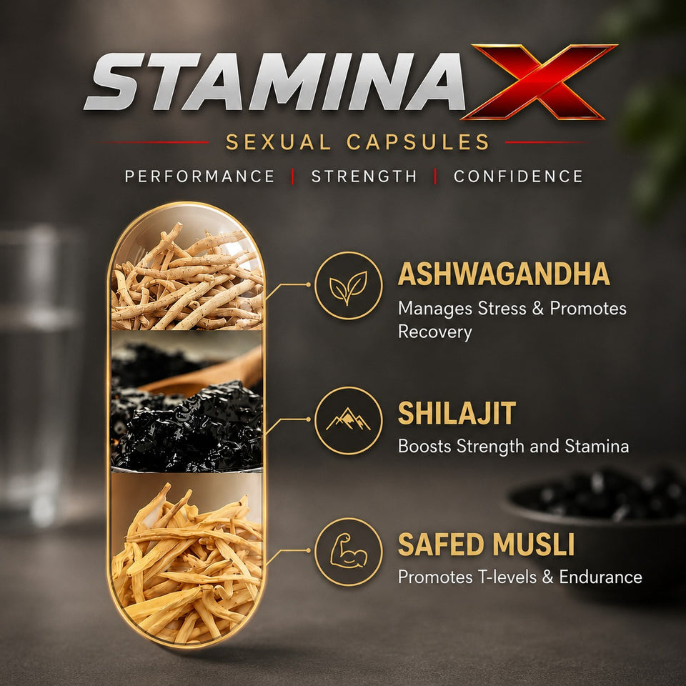 Parnik Naturals Stamina x 500Mg Capsules | Ayurvedic Men’s Vitality Support Supplement | Energy, Strength, Endurance & Wellness Support | 30 Capsules